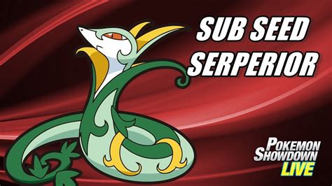 smogon serperior|counter glare sub serperior.